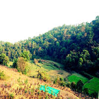 Viewpoint Homestay Coorg